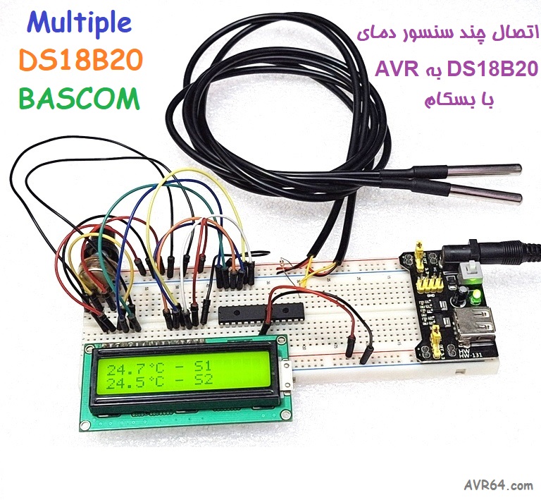 اتصال چند سنسور دمای DS18B20 به AVR با Bascom بسکام